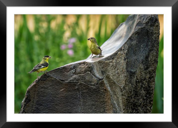 The Proposal Framed Mounted Print by Belinda Greb