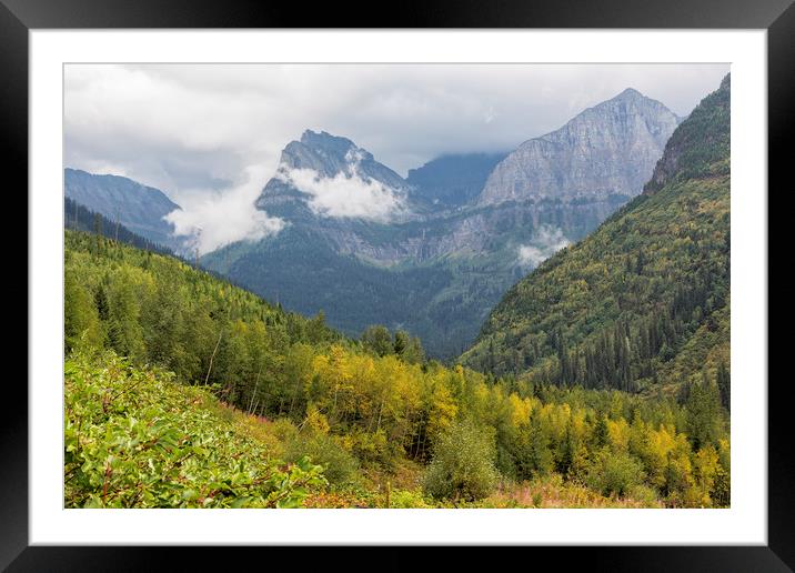 A Taste of Things to Come - Glacier NP Framed Mounted Print by Belinda Greb