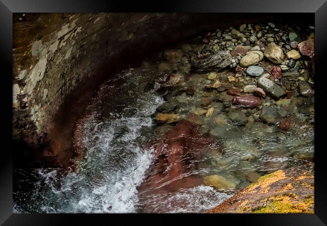 Rocks of Avalanche Creek - Glacier NP Framed Print by Belinda Greb