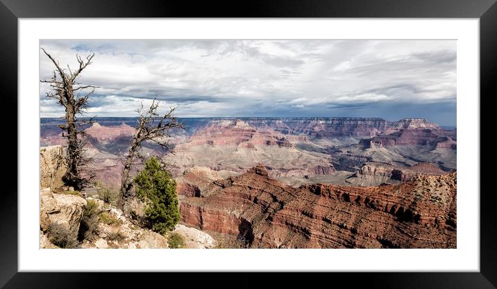 Grand Canyon No. 4 Pano Framed Mounted Print by Belinda Greb