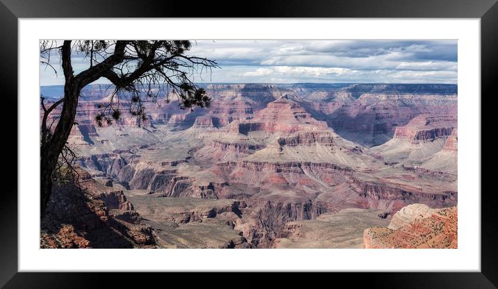 Grand Canyon No. 5 Pano Framed Mounted Print by Belinda Greb