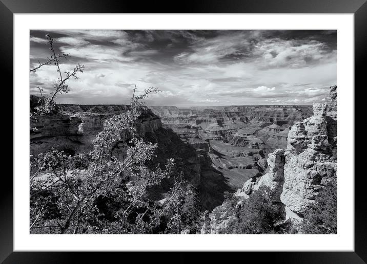 Grand Canyon No. 7 bw Framed Mounted Print by Belinda Greb