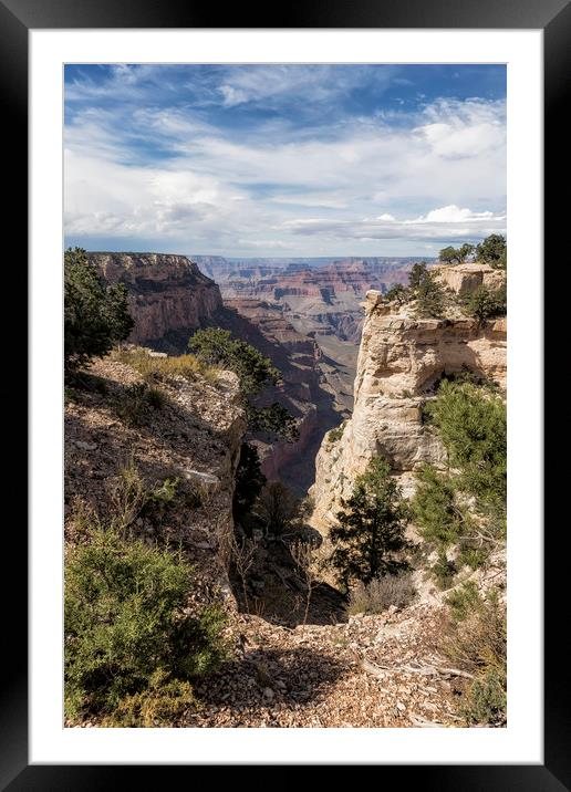 A Vertical View - Grand Canyon Framed Mounted Print by Belinda Greb
