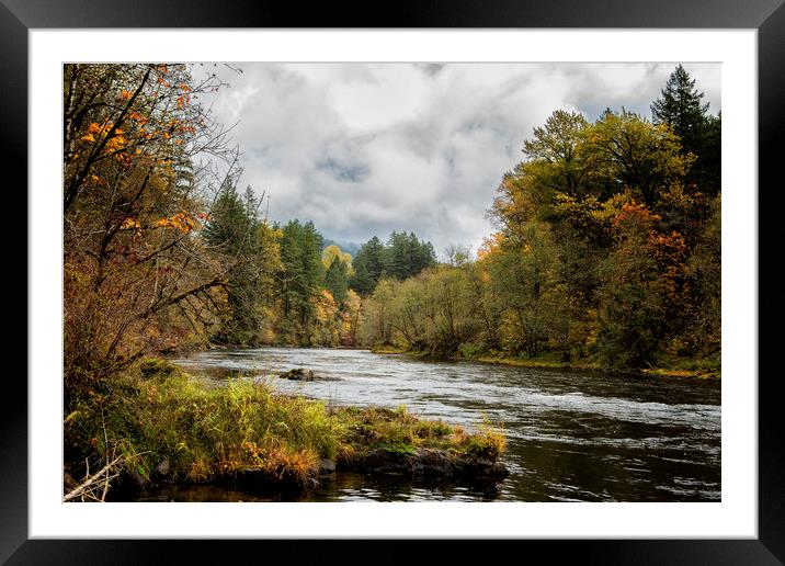 Fall on the McKenzie River Framed Mounted Print by Belinda Greb