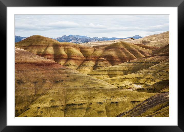 Time in Layers Framed Mounted Print by Belinda Greb