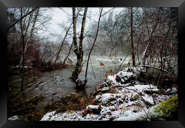 Overflow Framed Print by Belinda Greb