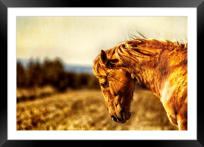 The Weight of the World Framed Mounted Print by Belinda Greb