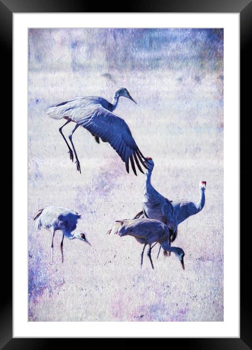 Hopping Crane Framed Mounted Print by Belinda Greb