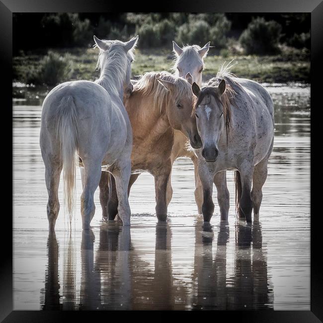 Family Time Sq Framed Print by Belinda Greb