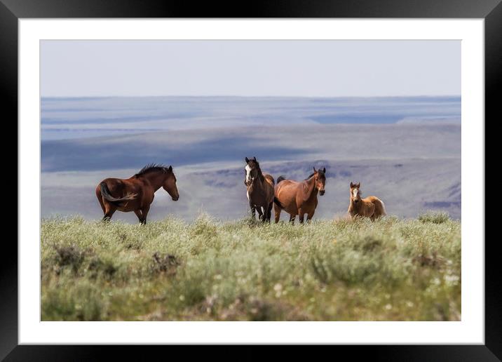 On the Mountain Framed Mounted Print by Belinda Greb