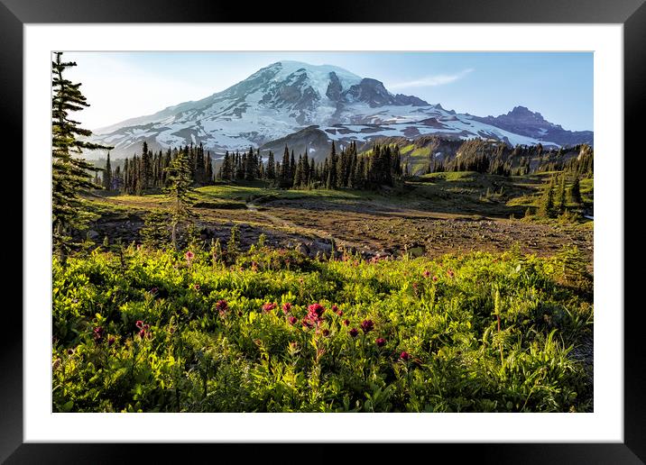 Early Evening on Mt Rainier Framed Mounted Print by Belinda Greb