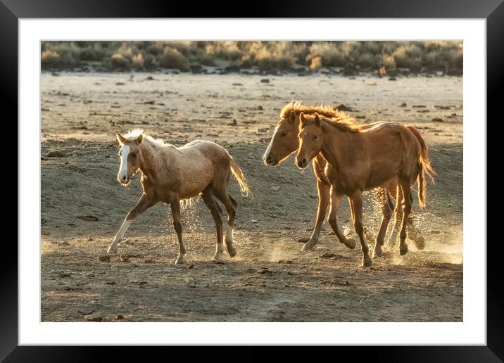 Sparked by Water Framed Mounted Print by Belinda Greb