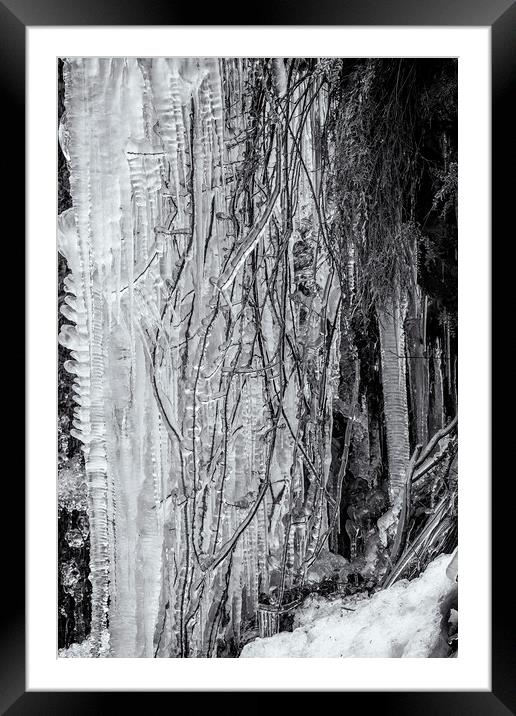 Icicles, No. 5 bw Framed Mounted Print by Belinda Greb