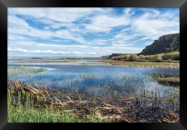 Save It For Later Framed Print by Belinda Greb