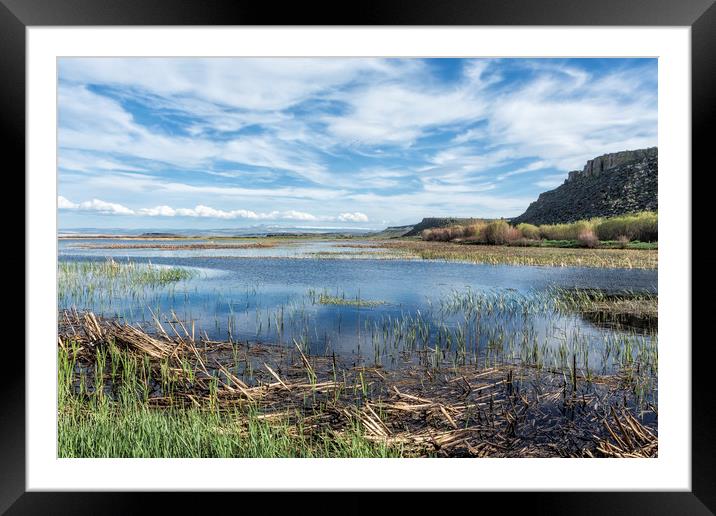 Save It For Later Framed Mounted Print by Belinda Greb