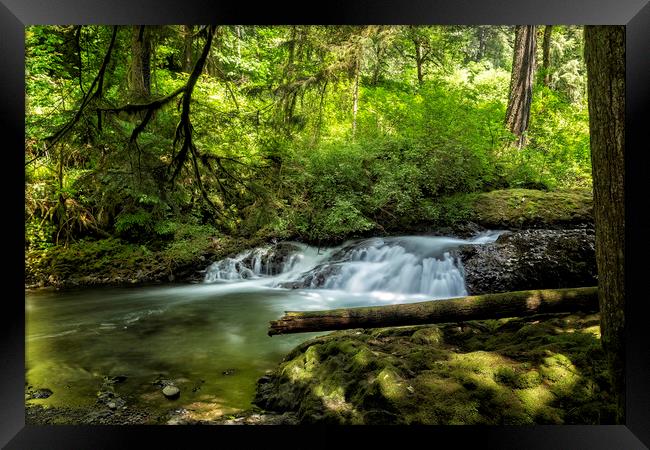 North Fork Silver Creek, No. 2 Framed Print by Belinda Greb