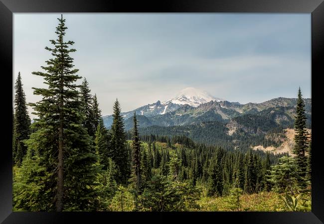 Mt Rainier from Naches Peak Loop Framed Print by Belinda Greb