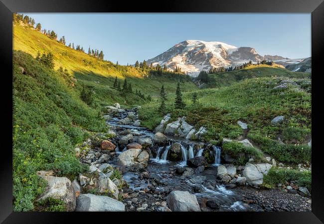 Early Morning Light on Mt Rainier above Edith Cree Framed Print by Belinda Greb