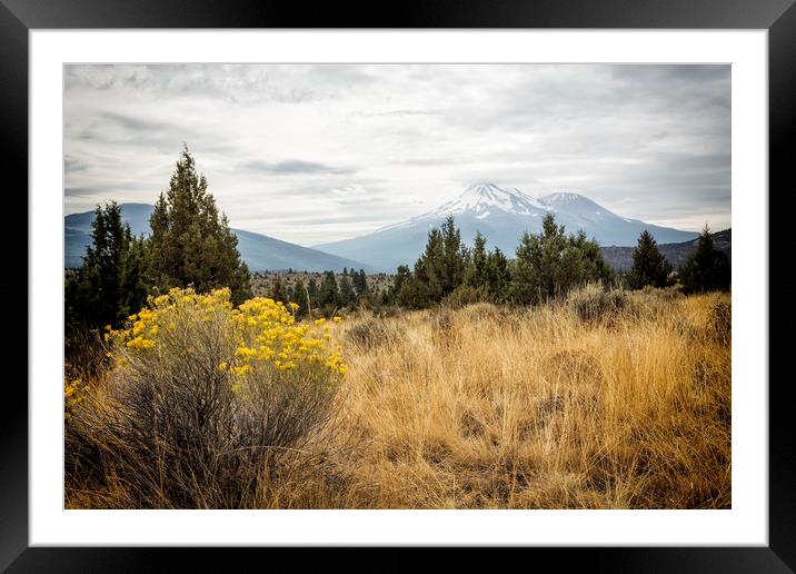 Taking the Scenic Route Framed Mounted Print by Belinda Greb