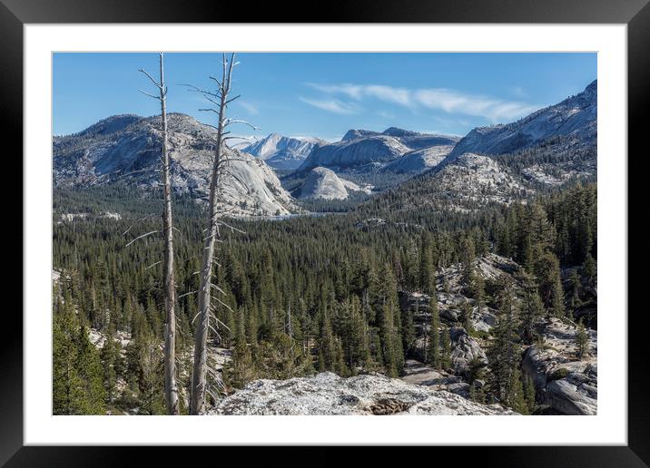 The North View Towards Tenaya Lake from Olmsted Pt Framed Mounted Print by Belinda Greb