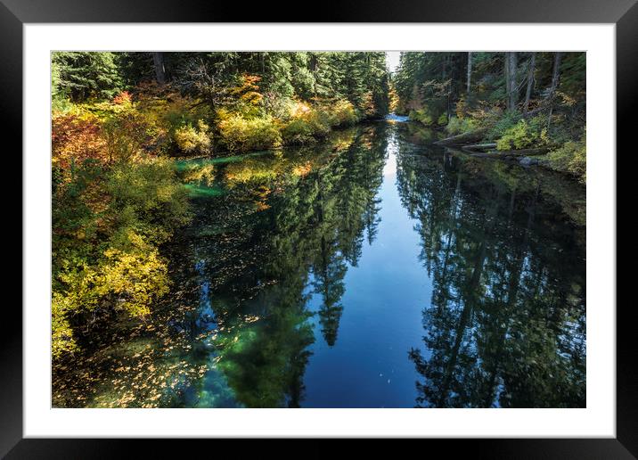 A Watery Avenue of Trees Framed Mounted Print by Belinda Greb