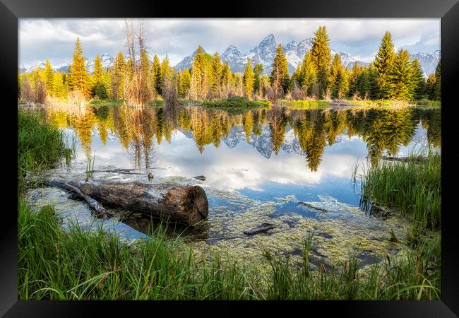 Another View of the Tetons from the Schwabacher La Framed Print by Belinda Greb