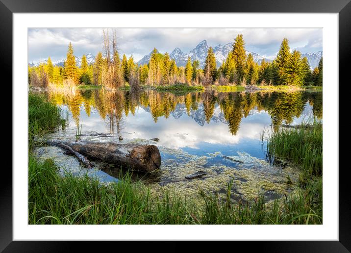 Another View of the Tetons from the Schwabacher La Framed Mounted Print by Belinda Greb