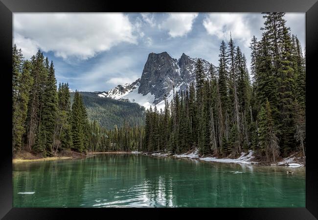 Looking South Towards Mt Burgess from Emerald Lake Framed Print by Belinda Greb