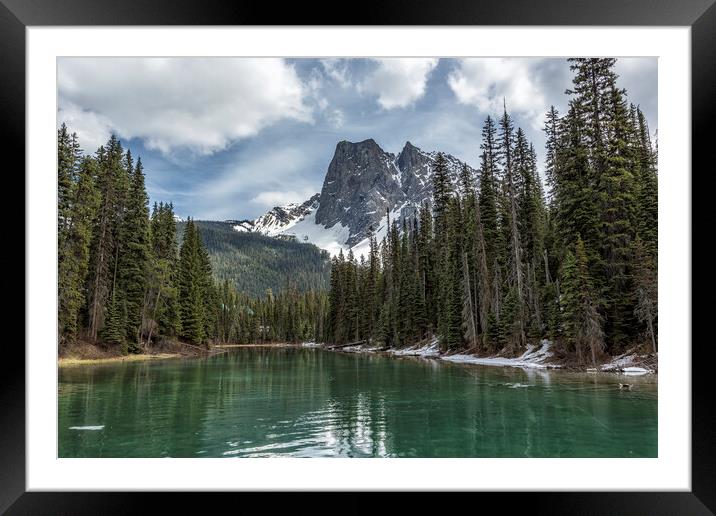 Looking South Towards Mt Burgess from Emerald Lake Framed Mounted Print by Belinda Greb