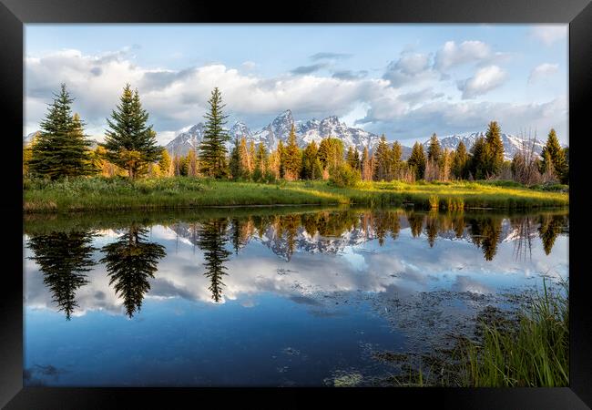 Grand Tetons and Trees Reflected in Snake River at Schwabacher's Landing Framed Print by Belinda Greb