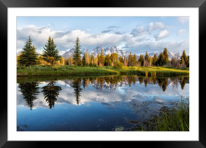 Grand Tetons and Trees Reflected in Snake River at Schwabacher's Landing Framed Mounted Print by Belinda Greb