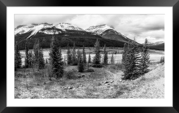 Along the Icefields Parkway bw Framed Mounted Print by Belinda Greb