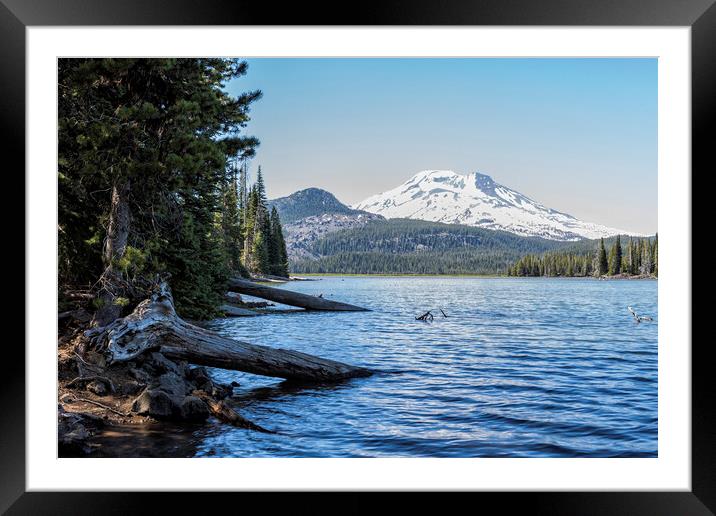 South Sister from Sparks Lake Framed Mounted Print by Belinda Greb