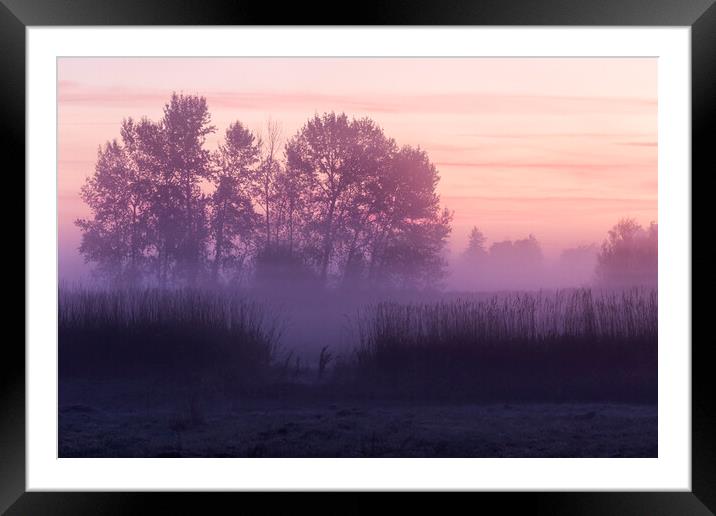 Silhouettes at Dawn at William Finley Wildlife Refuge Framed Mounted Print by Belinda Greb