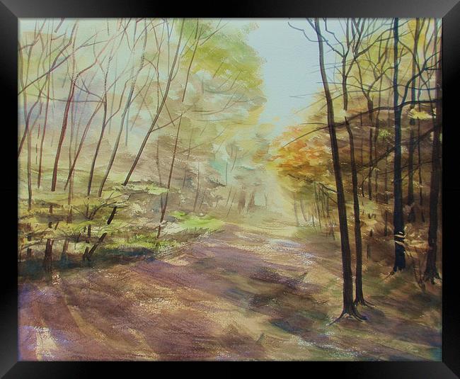 Ashridge Woods Framed Print by Martin Howard