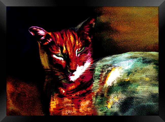 Lucifer Sam Tiger Cat Framed Print by Martin Howard