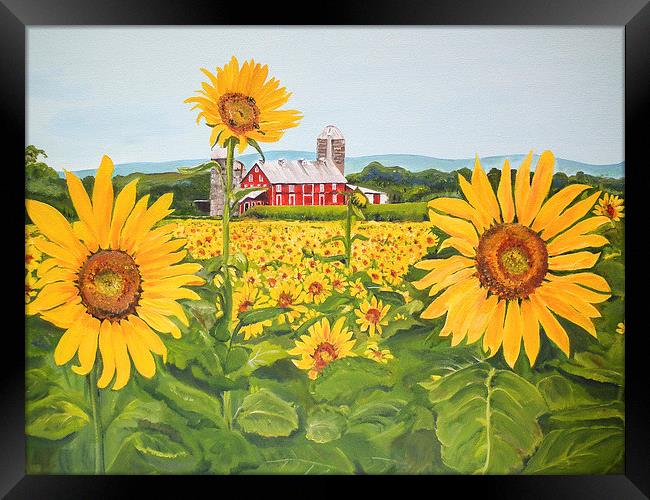 Sunflowers on Route 45 - Pennsylvania Framed Print by Jan Dappen
