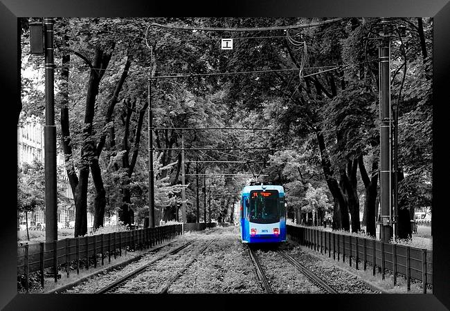 Tram in Krakow Framed Print by Richard Cruttwell