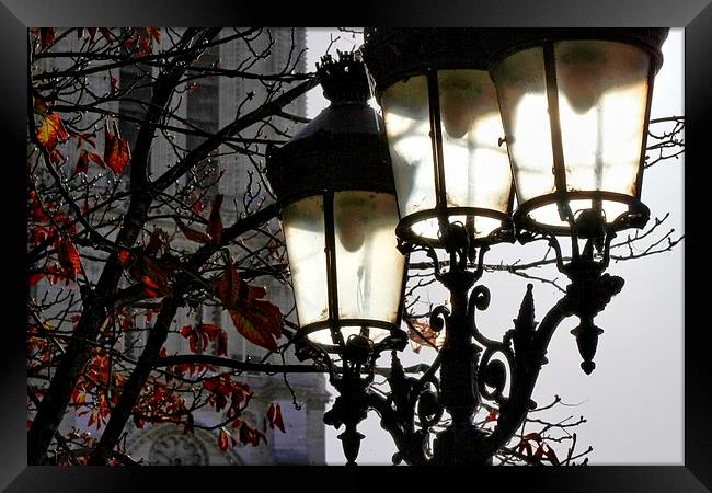 Paris Street Lamp Framed Print by Richard Cruttwell