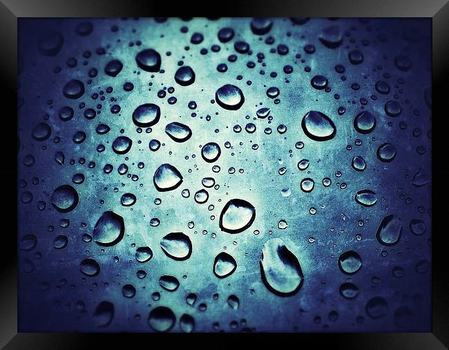 Rain Drops Framed Print by Scott Anderson