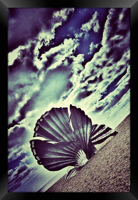 Aldeburgh Shell Framed Print by Scott Anderson