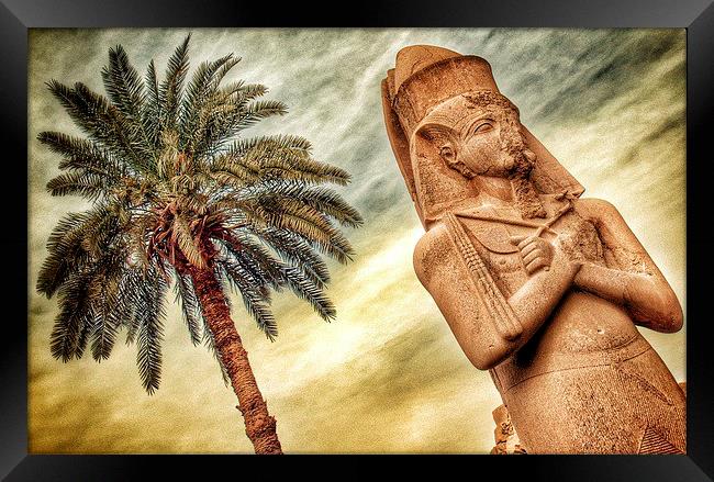 Statue in Egypt Framed Print by Scott Anderson