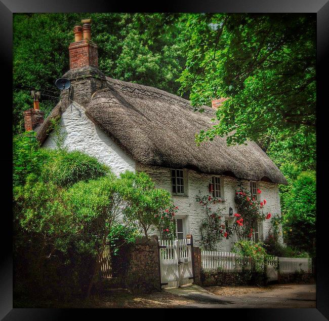 Dorset Cottage Framed Print by Scott Anderson