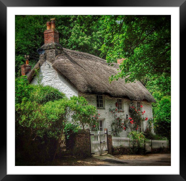 Dorset Cottage Framed Mounted Print by Scott Anderson