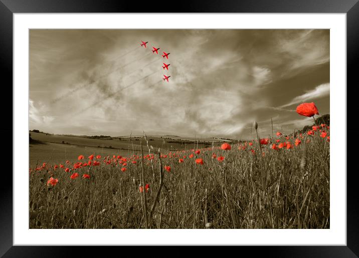 Red Arrows over Poppy Field Framed Mounted Print by Scott Anderson