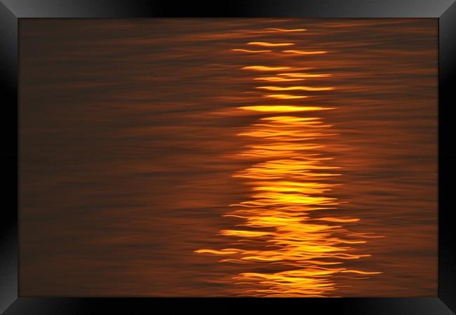 Sun Reflection Framed Print by Scott Anderson