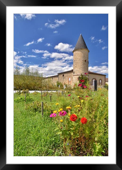 Château Guiraud, Sauternes, France Framed Mounted Print by Scott Anderson