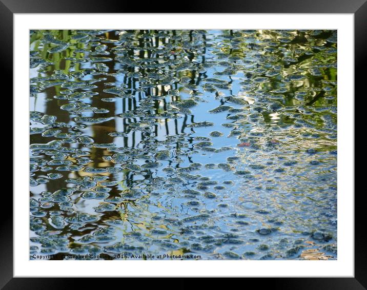 Reflections on Water Framed Mounted Print by Stephen Cocking