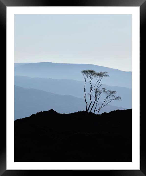 Morning Blues, The Lake District Framed Mounted Print by Dan Ward