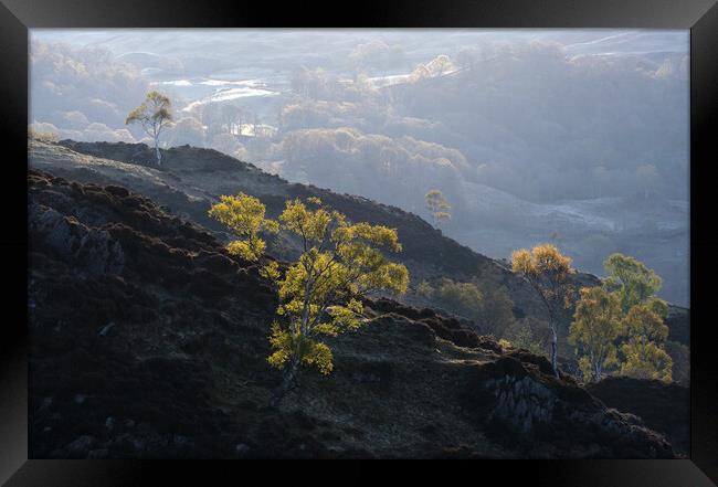 Early morning on Holme Fell, The Lake District Framed Print by Dan Ward